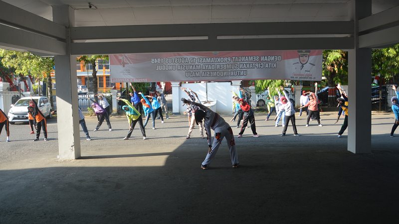 SENAM BELAKANG